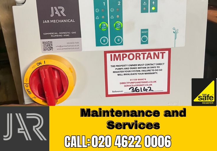 Domestic Maintenance and Services Thamesmead